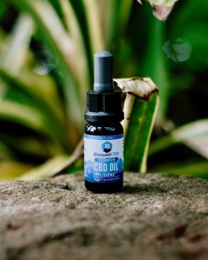 Understanding CBD Gummies' Shelf Life and Safety