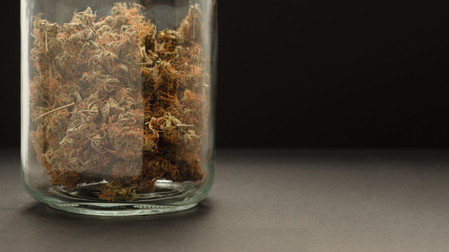 Weed Shelf Life How to tell if your bud has gone bad? CBD Oracle