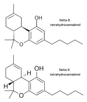 What Is Delta-8 THC? How Is It Different Than Delta-9? - CBD Oracle