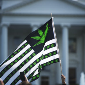 Cannabis flag at White House