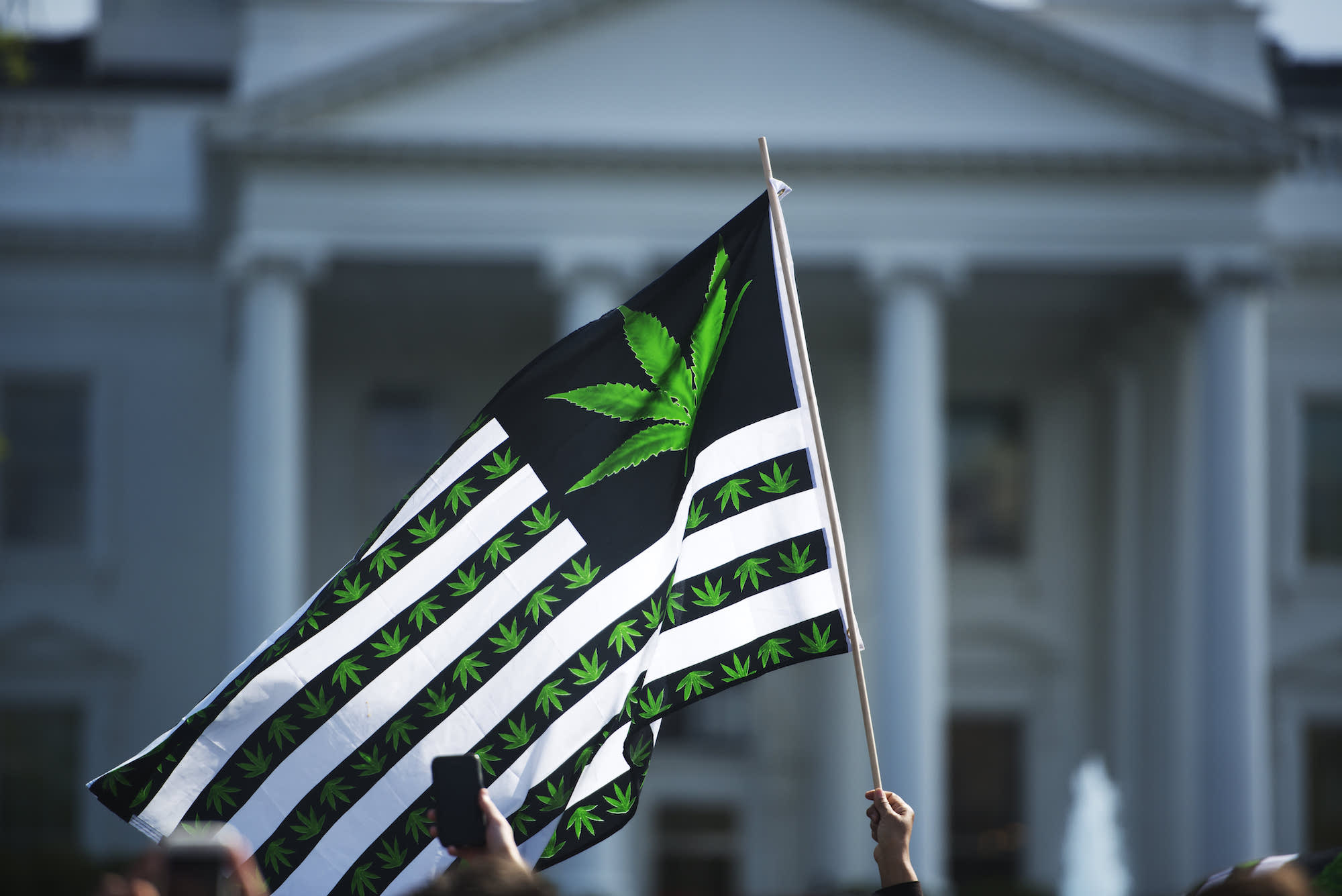 Cannabis flag at White House