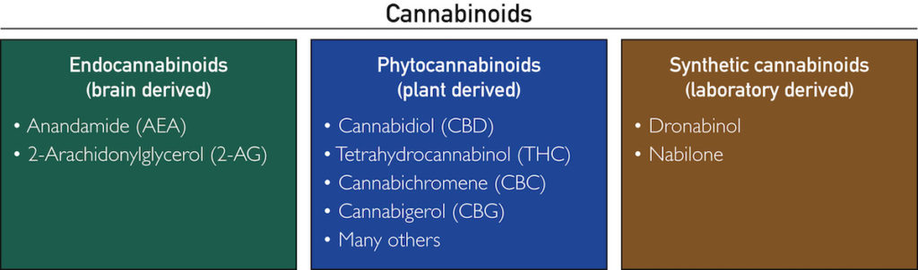 Three types of cannabinoids