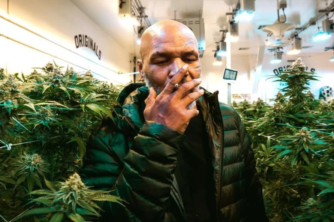 Mike Tyson smoking cannabis