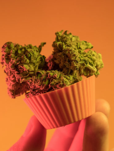 Marijuana edible cupcake
