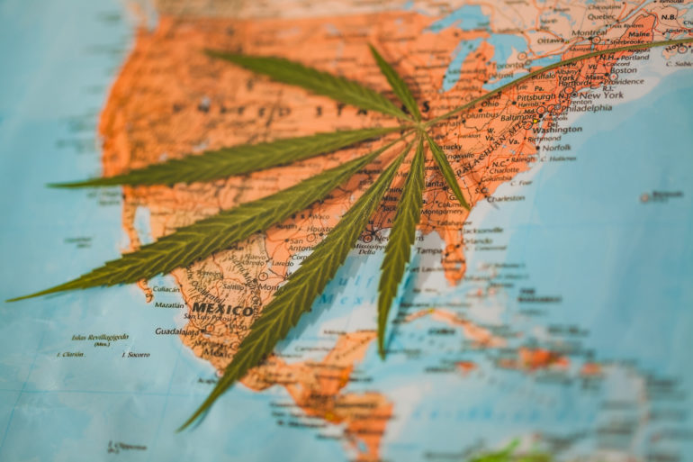 Map of countries with cannabis plant