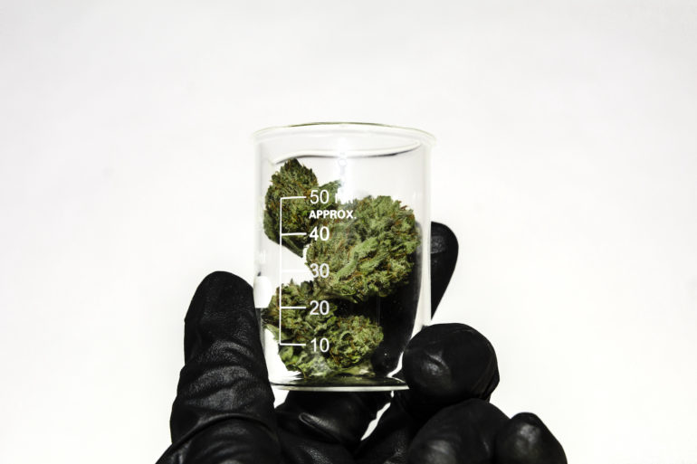 Marijuana flower in drug test jar