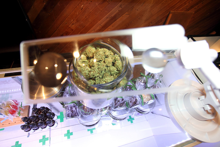 Choosing cannabis strain at a dispensary