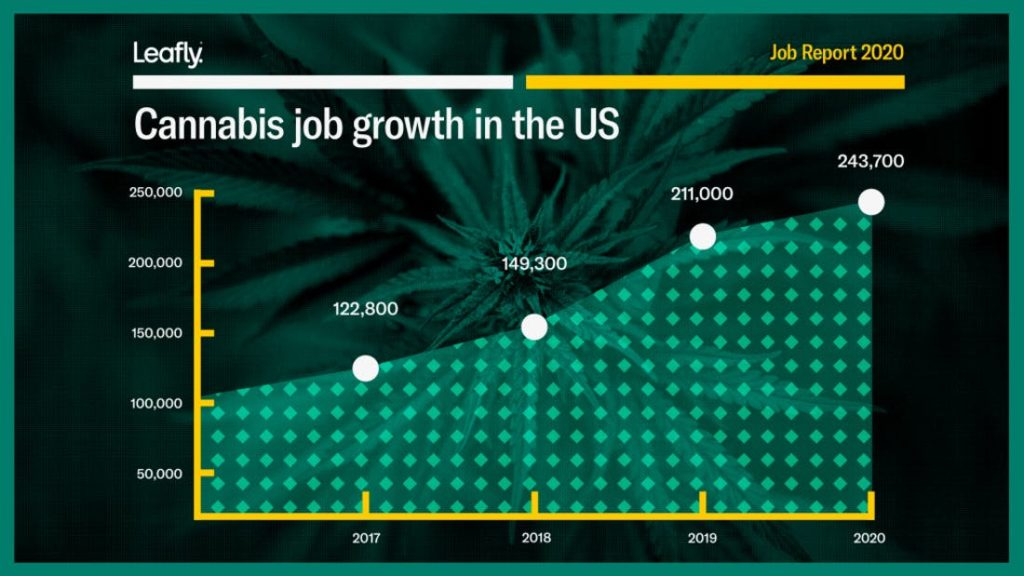 Cannabis job growth trend in the United States