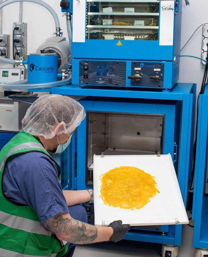 Precision Extraction Solutions making cannabis concentrates