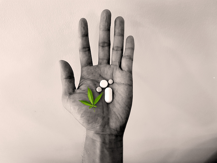 Hand holding CBD flower and medications