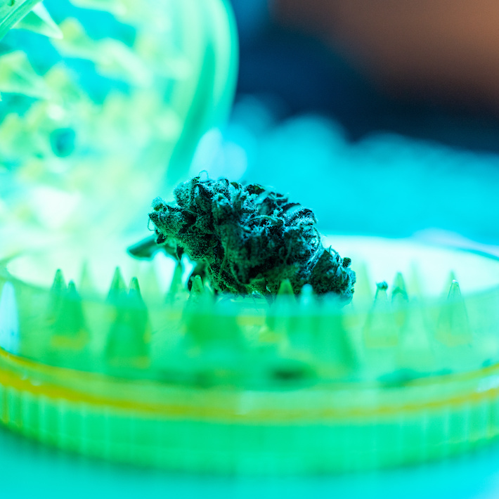 Texas-grown marijuana flower in weed grinder