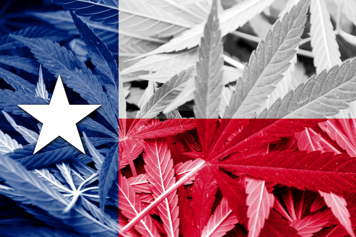 Texas state flag with marijuana flower