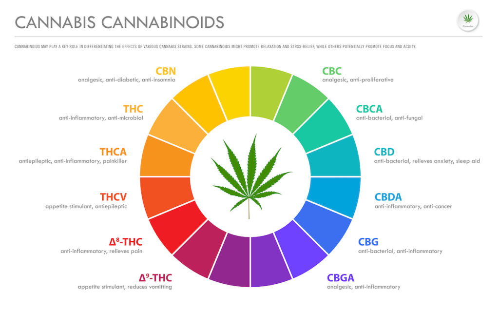 illustration of different types of cannabinoids in cannabis plant