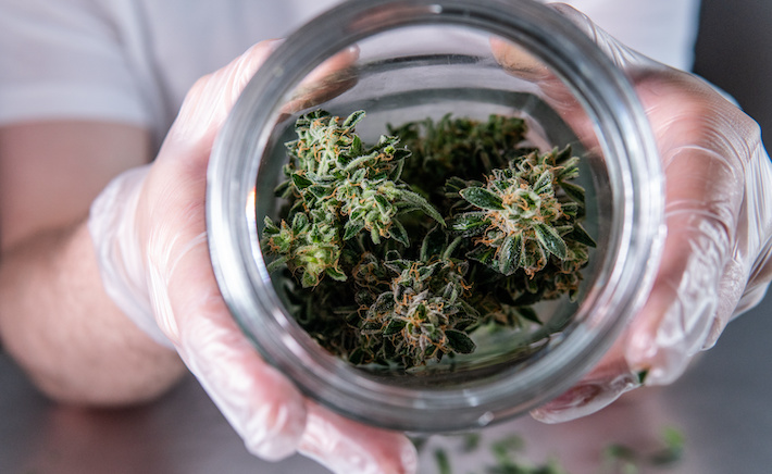 Marijuana flower stored in glass jar