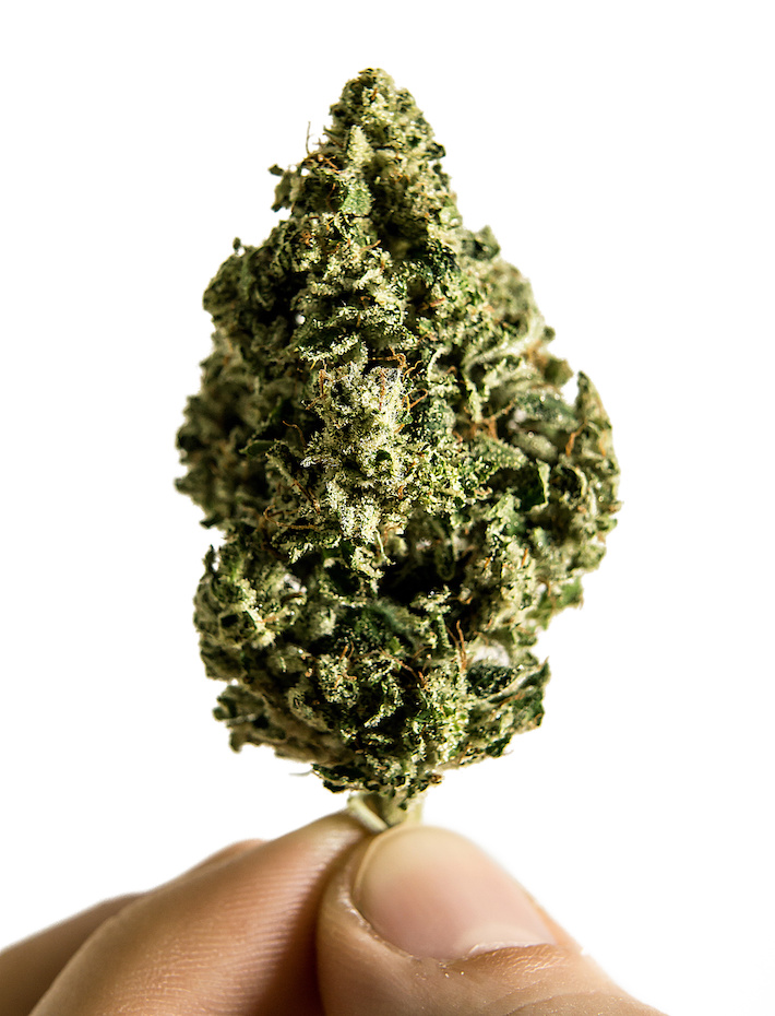 Cannabis plant rich is phytocannabinoids