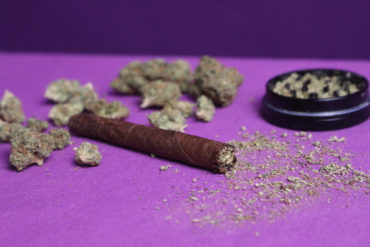 Backwoods blunt rolled with cannabis flower