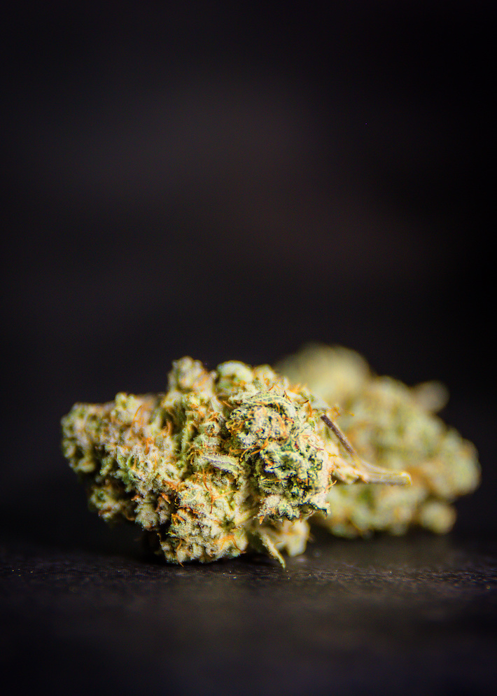 Psychoactive marijuana flower with THC