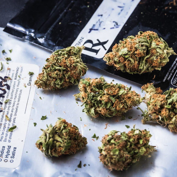Cannabis legally grown in Ohio