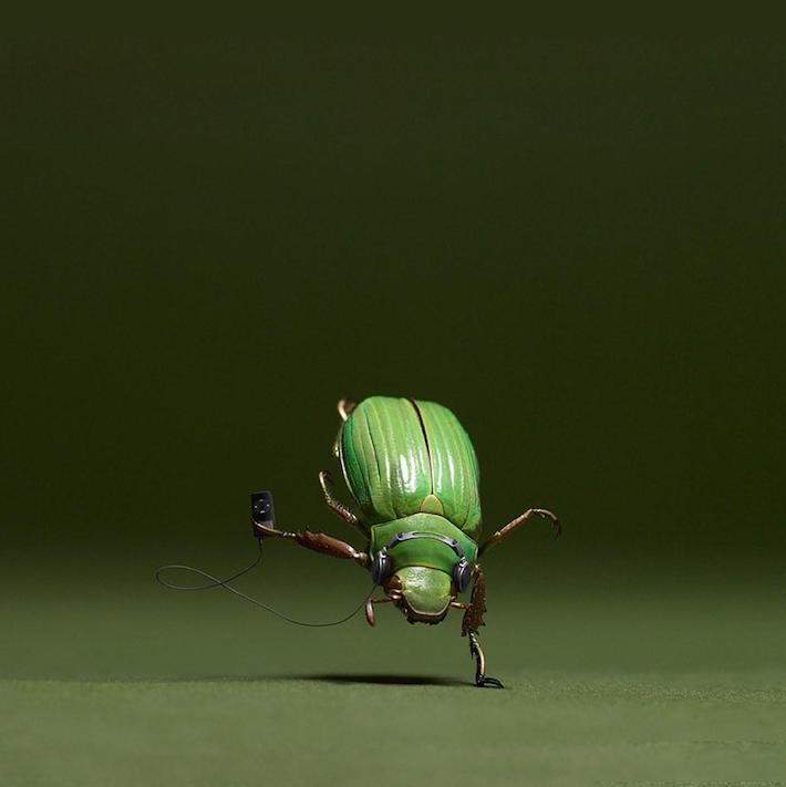 Green insect dancing to music funny