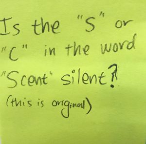 is the s or c in the word scent silent ego
