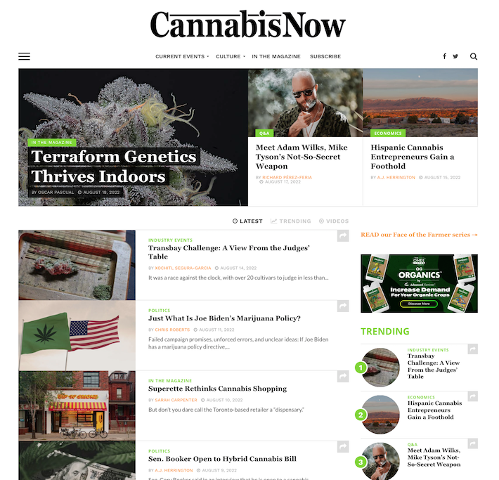 Cannabis Now website