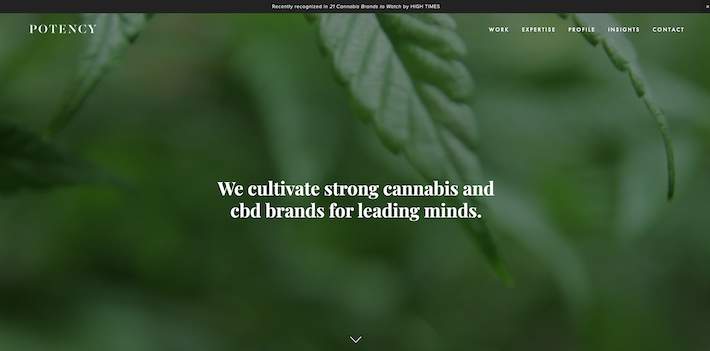 Potency cannabis advertising agency