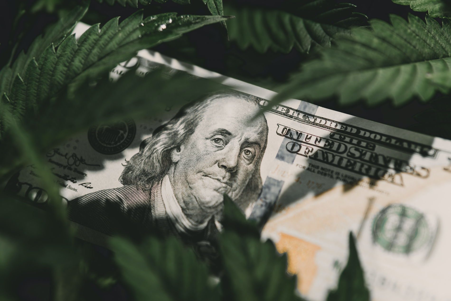 Consumer demand for cannabis products during inflation