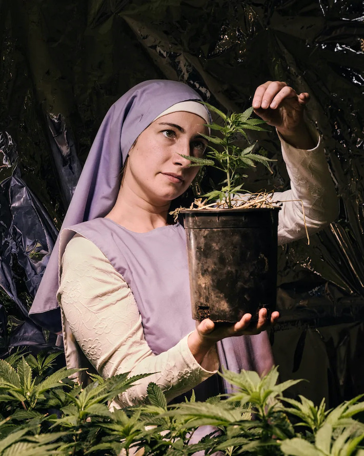 Sister Darcy using holistic methods to grow cannabis plant