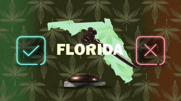 Florida cannabis laws map