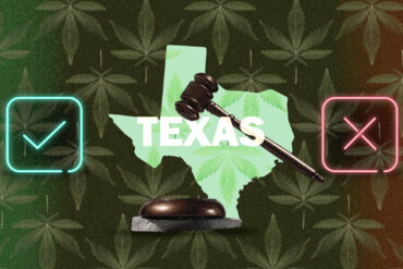 Cannabis legality map of Texas