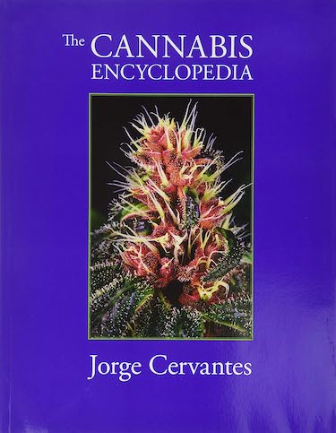 The Cannabis Encyclopedia: The Definitive Guide to Cultivation & Consumption of Medical Marijuana by Jorge Cervantes