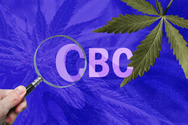 Marijuana leaf with the letters CBC