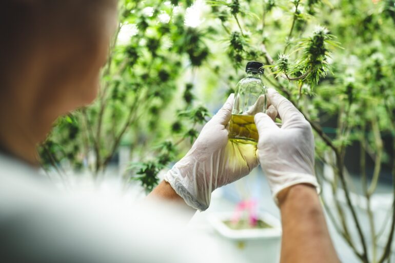 Cannabis scientist formulating THCH cannabinoid