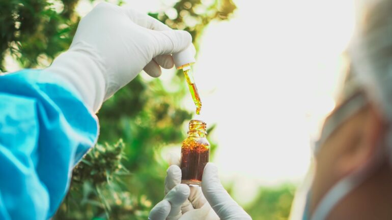 Researcher is making HHC infused oil from hemp plants