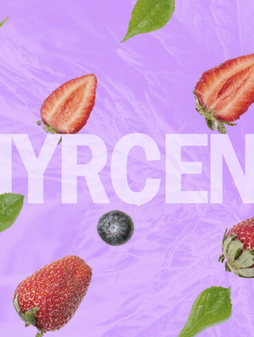 Natural sources of Myrcene terpene