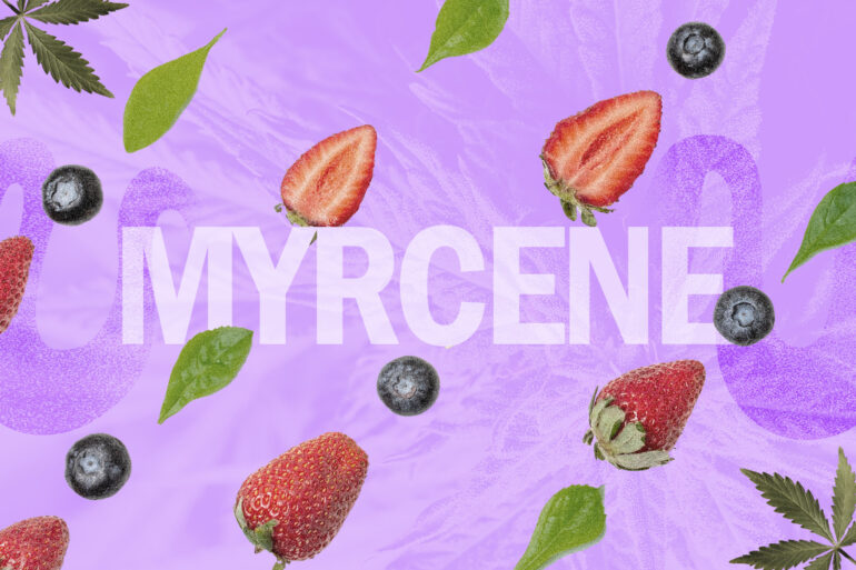 Natural sources of Myrcene terpene