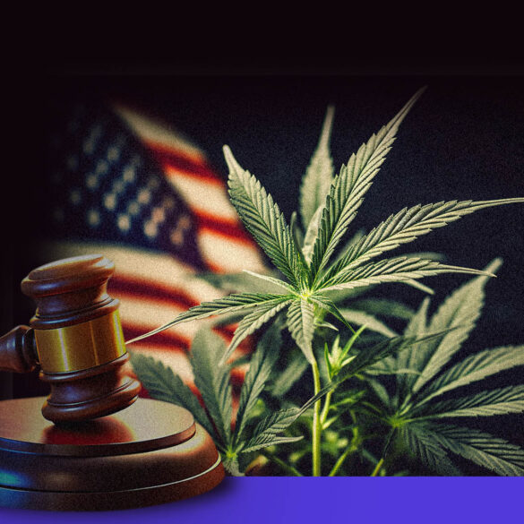Cannabis rescheduling American flag