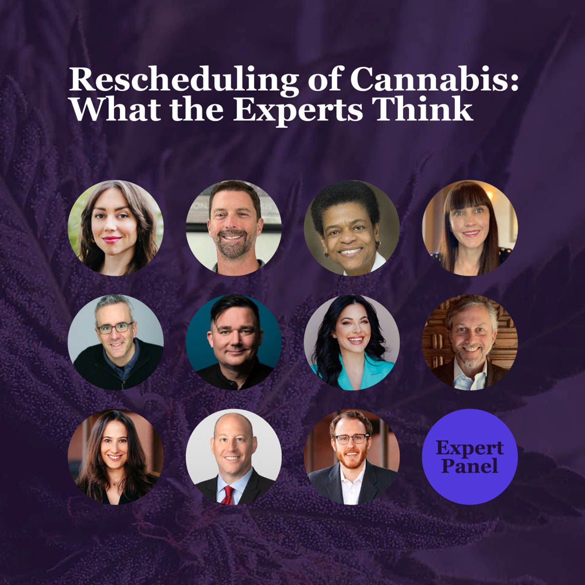 Panel of experts that commented about cannabis rescheduling in the U.S.