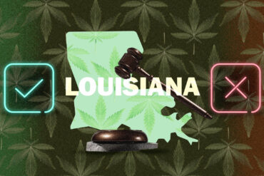 Map of cannabis laws in Louisiana