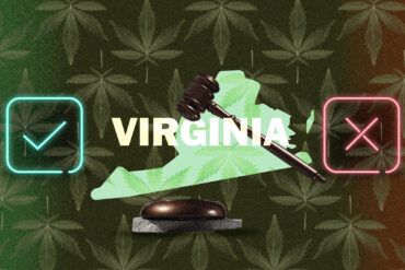 Virginia marijuana laws map