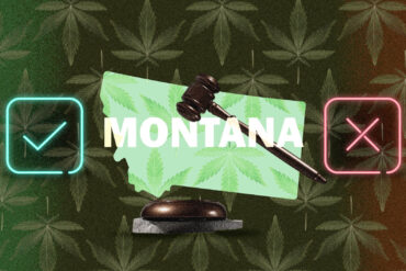 Montana cannabis laws map