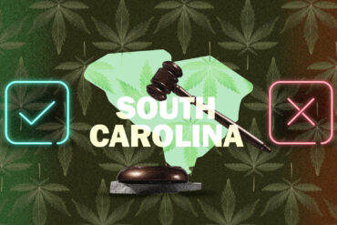 Map of marijuana legality in South Carolina