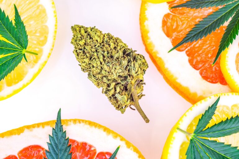 Cannabis bud with lemon fruit