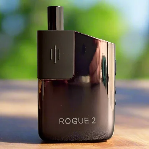 Healthy Rips Rogue 2