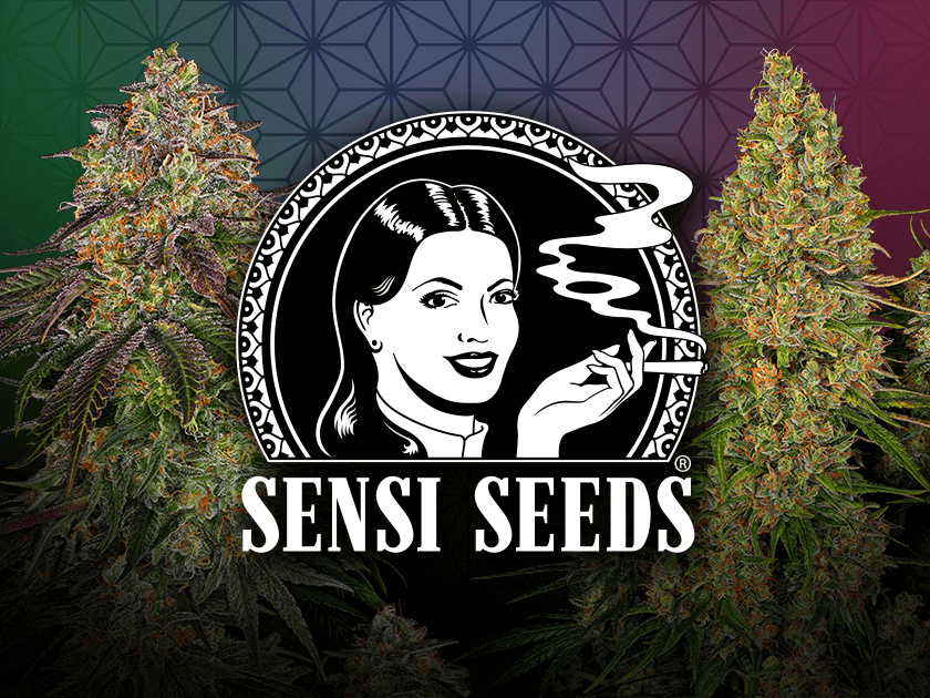 Sensi Seeds 