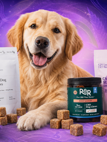 Best CBD Chews for Dogs